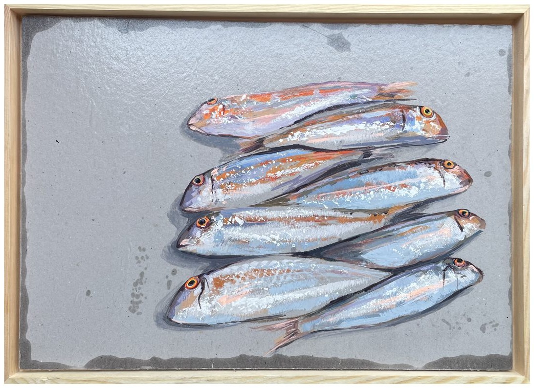 Salmonetes